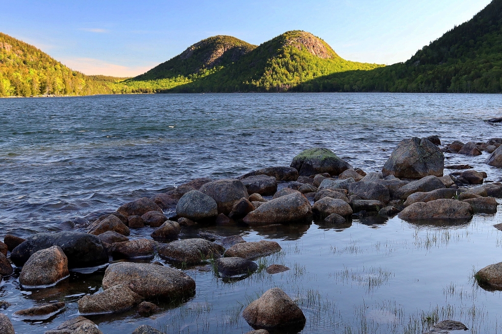 Dig Special Subject In Class S By John Garvin For Not Thoreaus Pond OCT-2019.jpg
